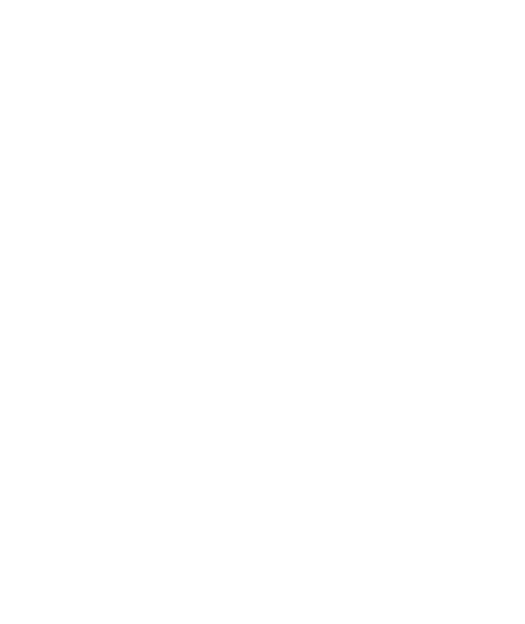 Scale Army White Logo